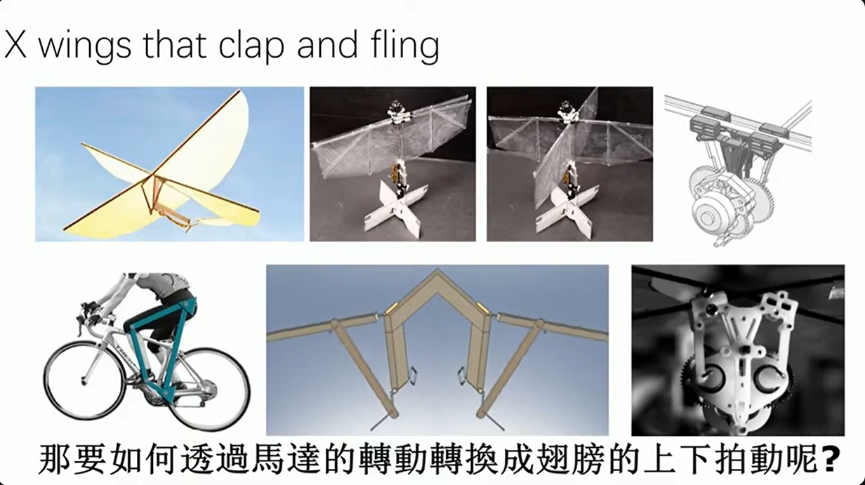 仿生鳥